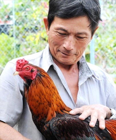 Lê Thanh Tâm